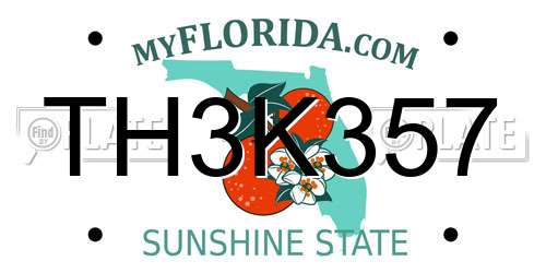 TH3K357 Florida License Plate