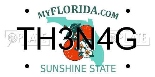 TH3N4G Florida License Plate