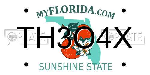 TH3O4X Florida License Plate