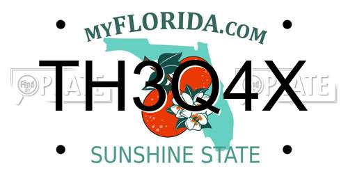 TH3Q4X Florida License Plate