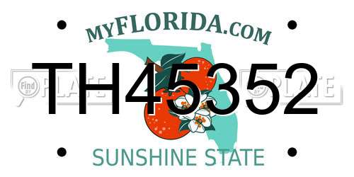 TH45352 Florida License Plate