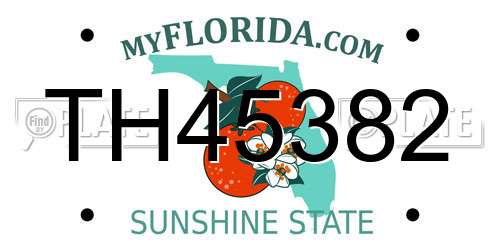 TH45382 Florida License Plate