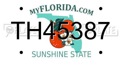 TH45387 Florida License Plate