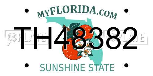 TH48382 Florida License Plate