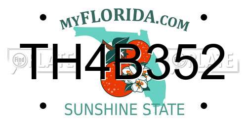 TH4B352 Florida License Plate