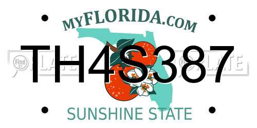 TH4S387 Florida License Plate