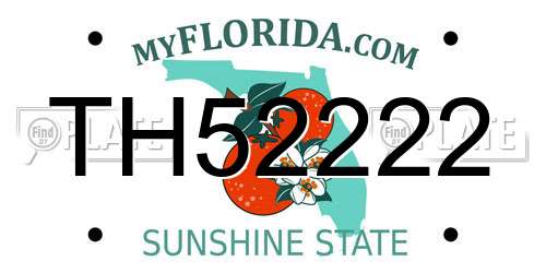 TH52222 Florida License Plate