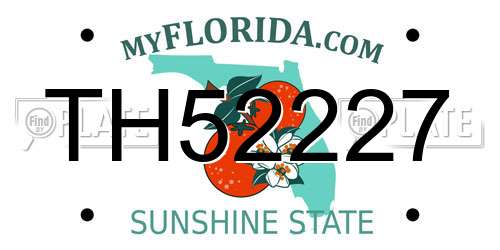 TH52227 Florida License Plate