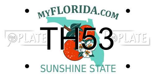 TH53 Florida License Plate