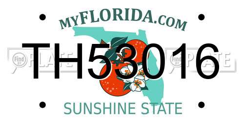 TH53016 Florida License Plate
