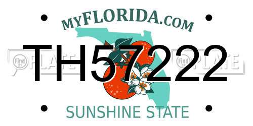 TH57222 Florida License Plate