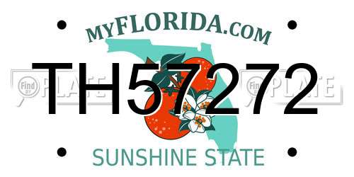 TH57272 Florida License Plate