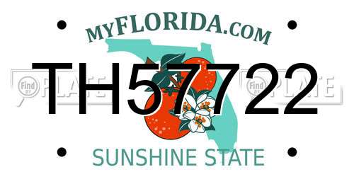 TH57722 Florida License Plate