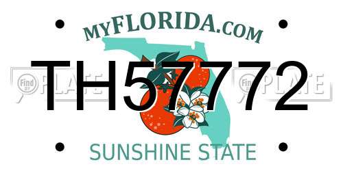 TH57772 Florida License Plate