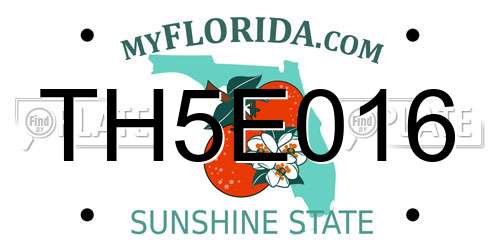 TH5E016 Florida License Plate