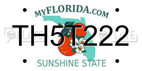 TH5T222 Florida License Plate