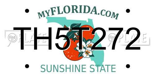TH5T272 Florida License Plate