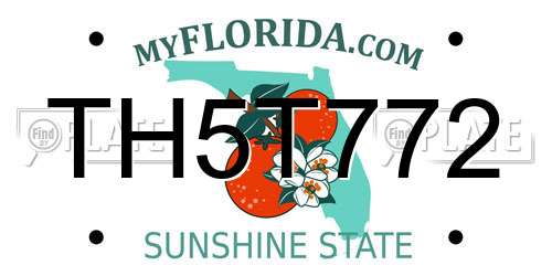 TH5T772 Florida License Plate