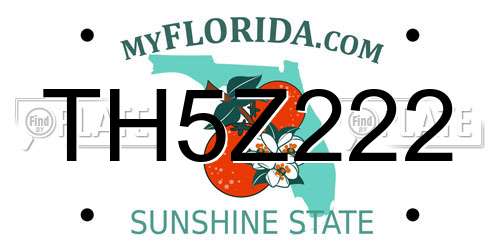 TH5Z222 Florida License Plate