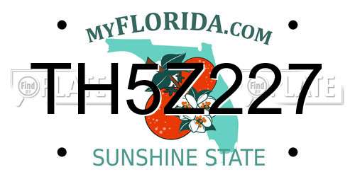 TH5Z227 Florida License Plate