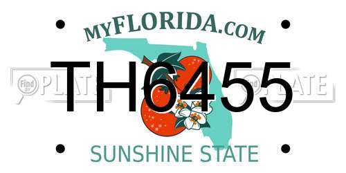 TH6455 Florida License Plate