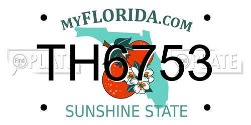 TH6753 Florida License Plate