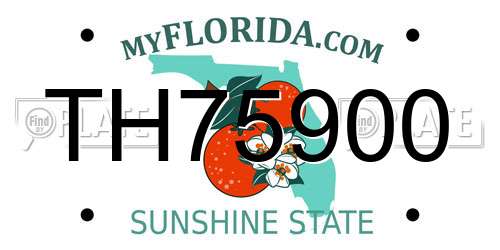 TH75900 Florida License Plate