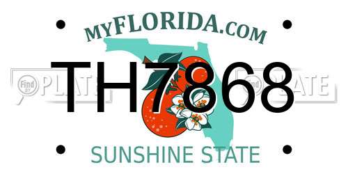 TH7868 Florida License Plate