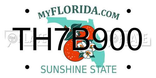 TH7B900 Florida License Plate