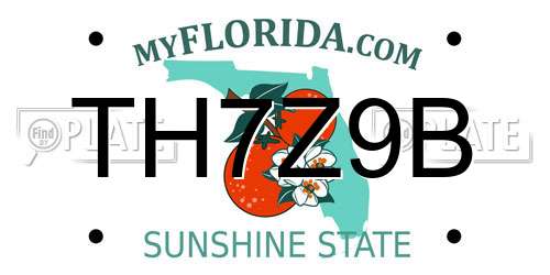 TH7Z9B Florida License Plate