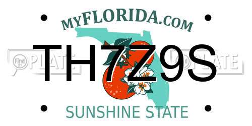 TH7Z9S Florida License Plate
