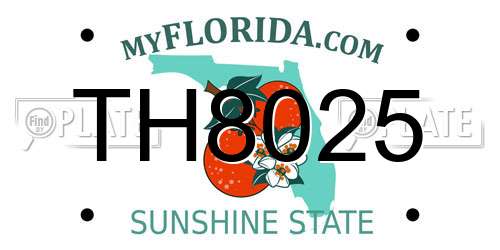 TH8025 Florida License Plate