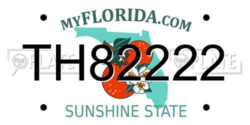 TH82222 Florida License Plate