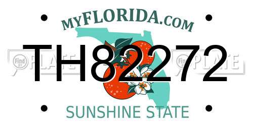 TH82272 Florida License Plate
