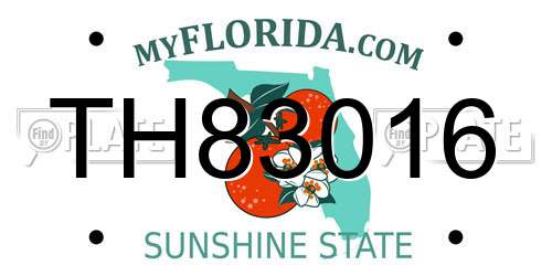 TH83016 Florida License Plate