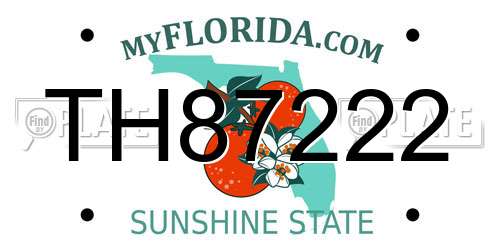 TH87222 Florida License Plate