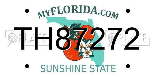 TH87272 Florida License Plate
