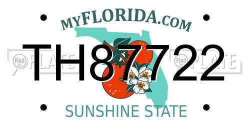 TH87722 Florida License Plate