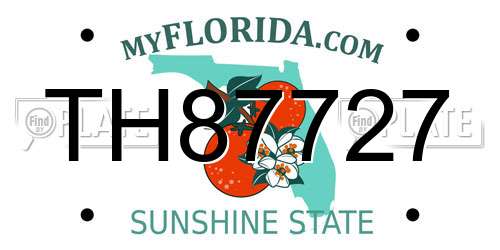 TH87727 Florida License Plate