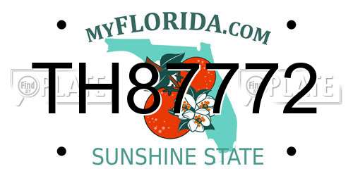 TH87772 Florida License Plate
