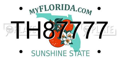 TH87777 Florida License Plate