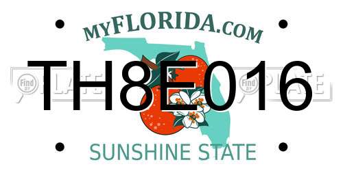 TH8E016 Florida License Plate