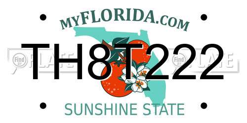 TH8T222 Florida License Plate