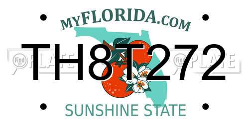 TH8T272 Florida License Plate