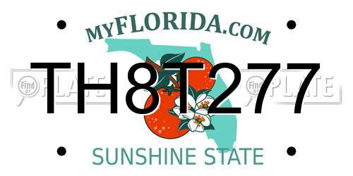 TH8T277 Florida License Plate