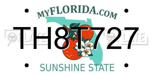 TH8T727 Florida License Plate