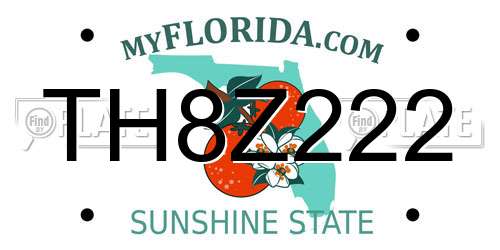 TH8Z222 Florida License Plate