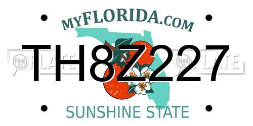 TH8Z227 Florida License Plate