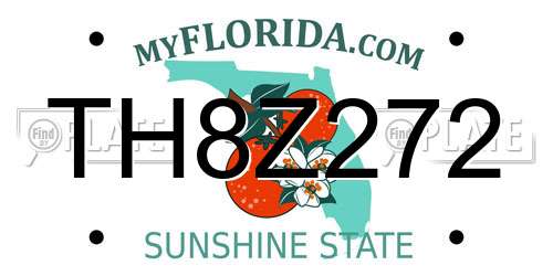 TH8Z272 Florida License Plate