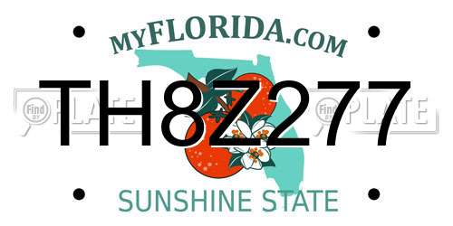 TH8Z277 Florida License Plate